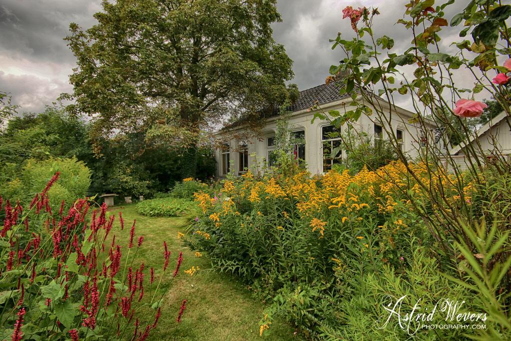 Bed and breakfast Koningin Van Pieterburen Extérieur photo